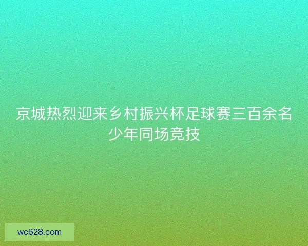 京城热烈迎来乡村振兴杯足球赛三百余名少年同场竞技